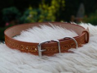 Colliers chien - Ref : CC-001