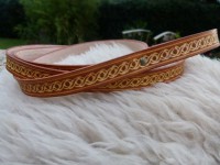 Laisse chien - Ref : LC-001