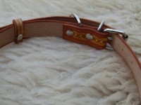 /album/colliers-et-laisses1/p1080235-jpg/