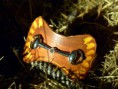 /album/galerie-de-photos-bracelets/p1080968-jpg/