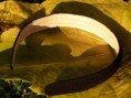 /album/galerie-de-photos-%3a-serre-t%c3%aate/p1090237-jpg/